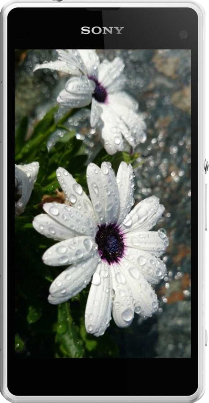 Sony Xperia Z1 Compact: характеристики, цена и отзывы