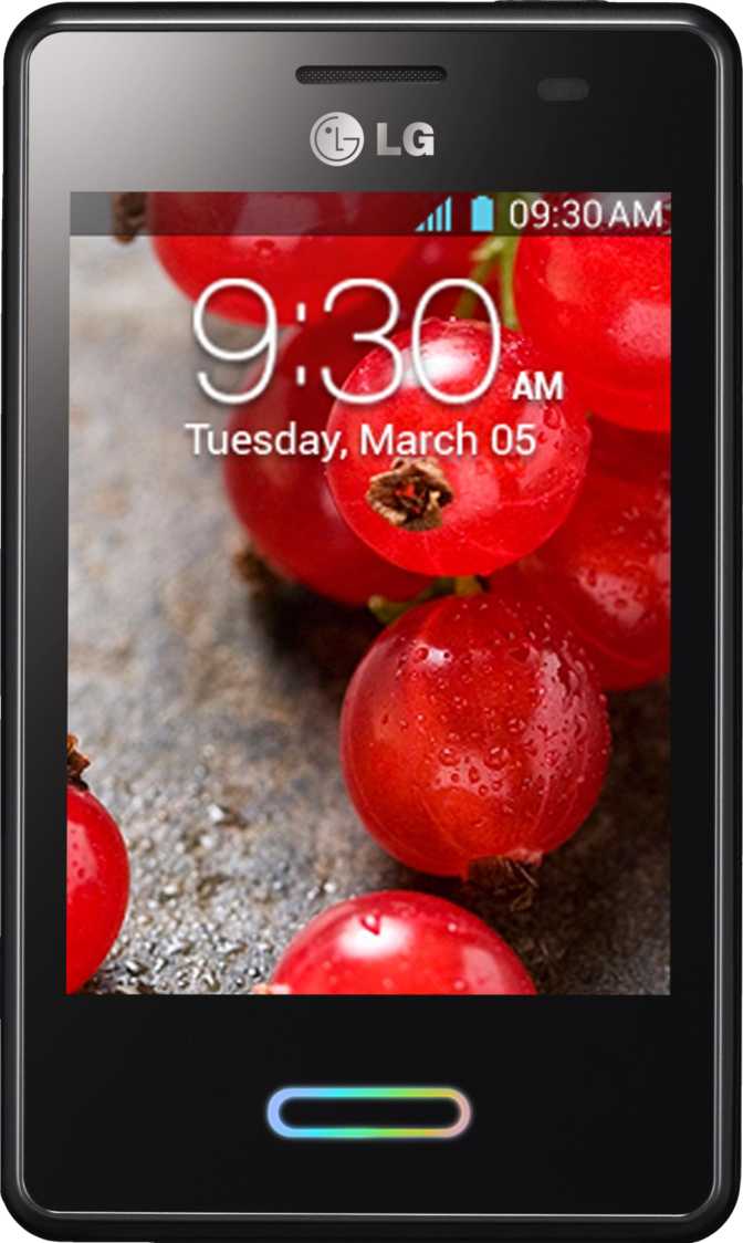 LG Optimus L3 II Dual