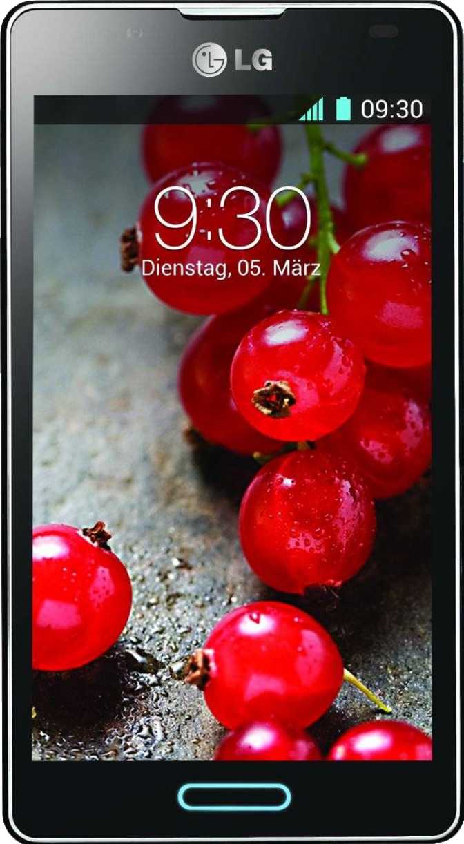 LG Optimus L5 II