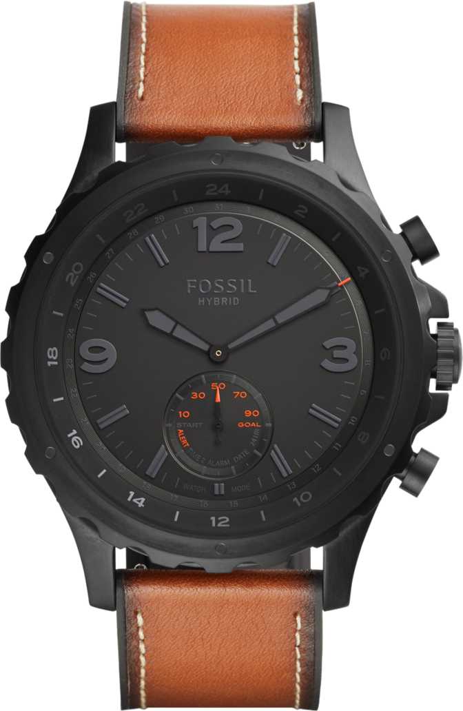 Fossil Nate